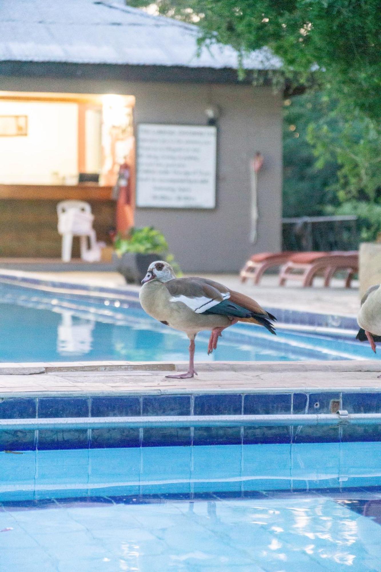Отель Lukenya Getaway Athi River Экстерьер фото
