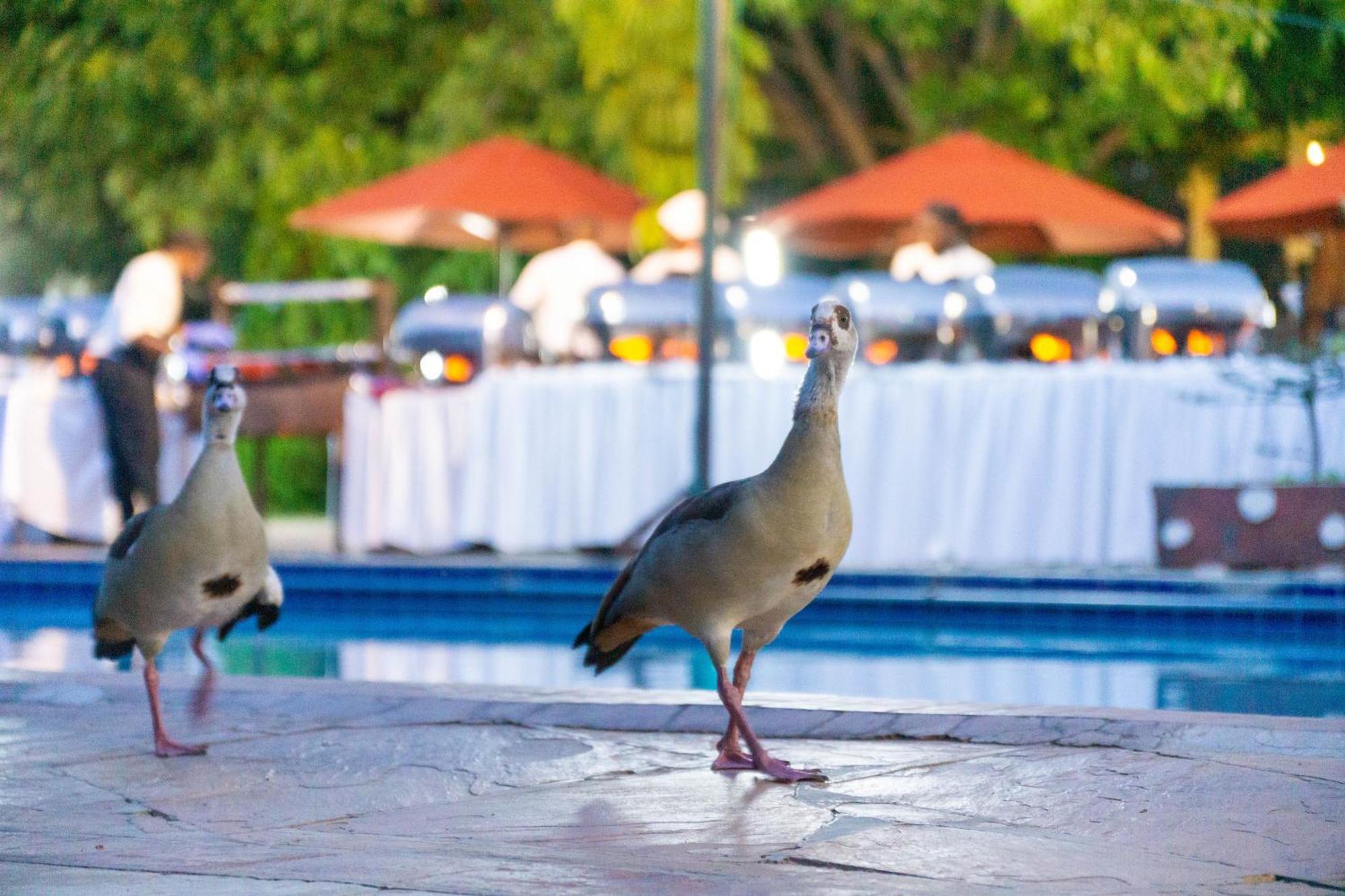 Отель Lukenya Getaway Athi River Экстерьер фото